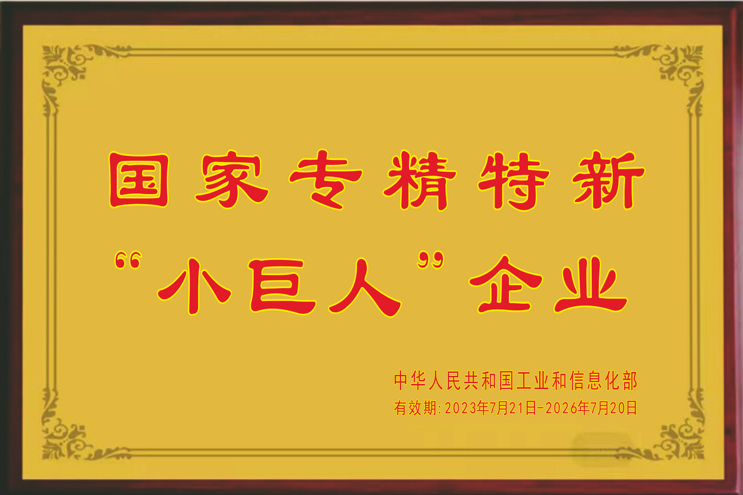 国家专精特新