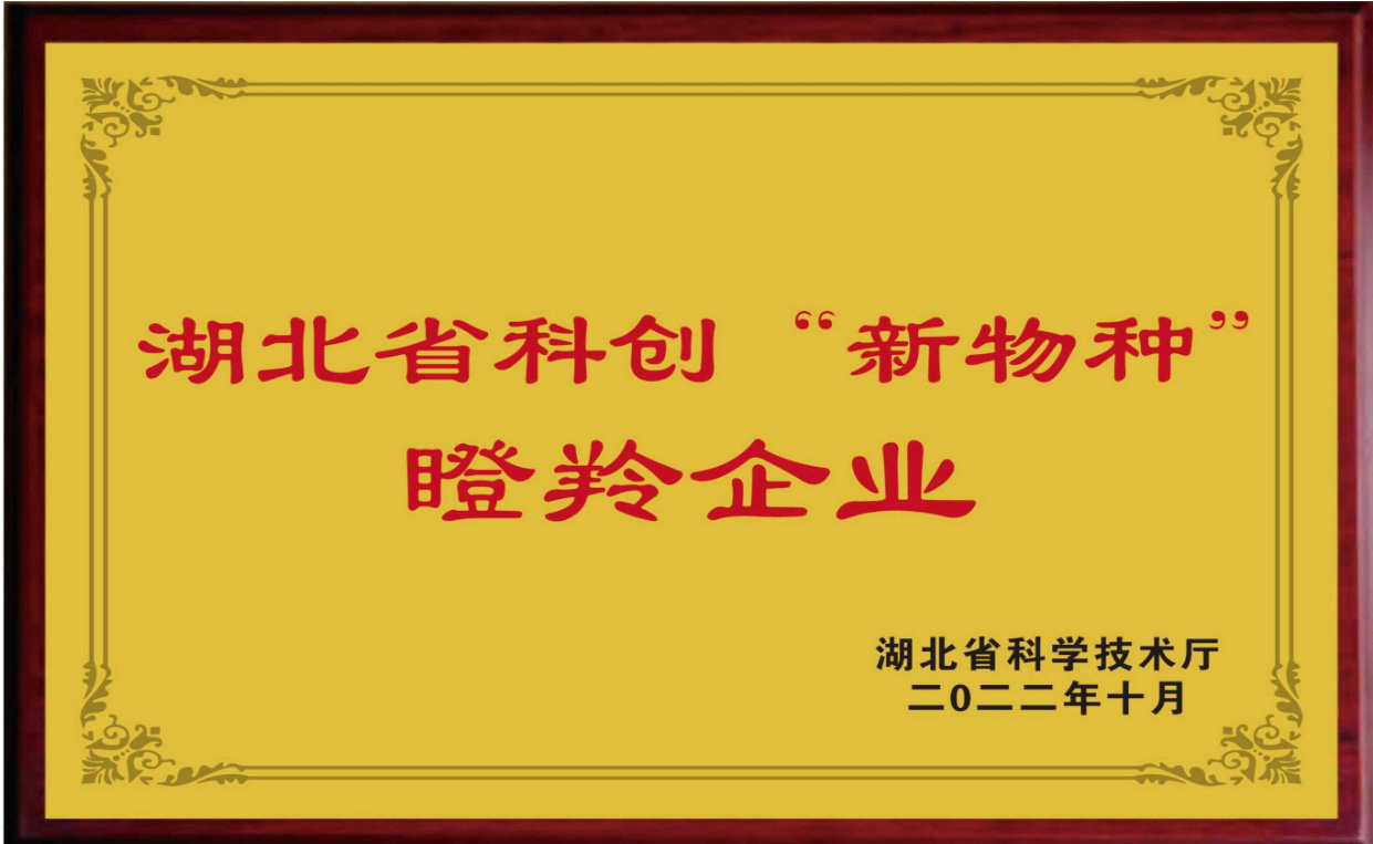 新物种
